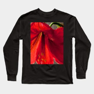 Vibrant red amaryllis Long Sleeve T-Shirt